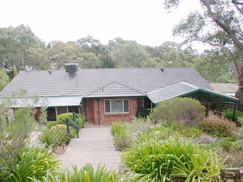 19 Woodland Grove, Aberfoyle Park SA 5159