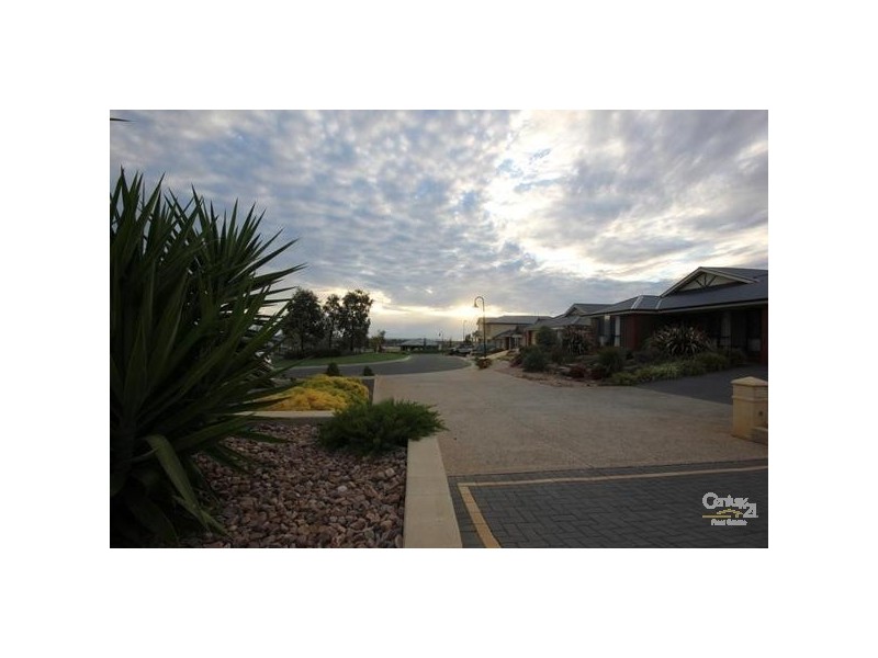 5 Tintara Walk, Noarlunga Downs SA 5168