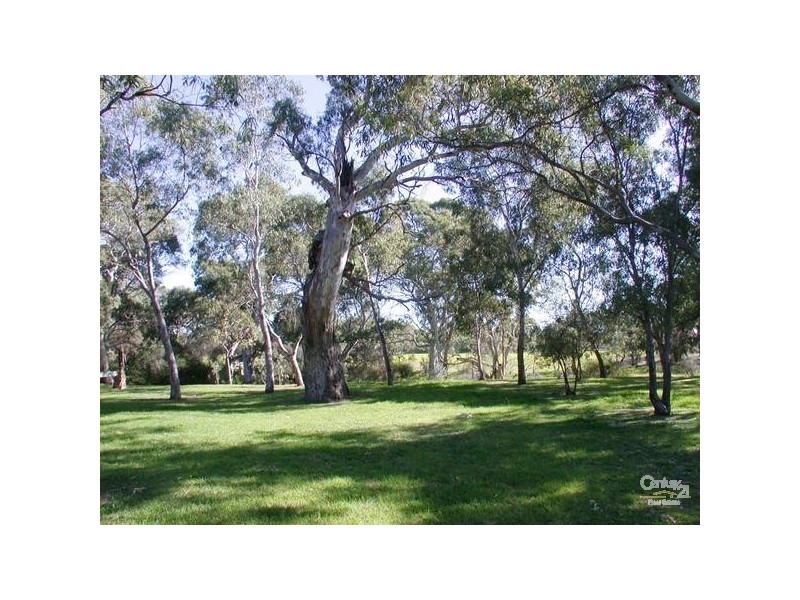 38 Spriggs Road, Onkaparinga Hills SA 5163