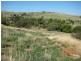 Lot 263 Yeltana Avenue, Huntfield Heights SA 5163