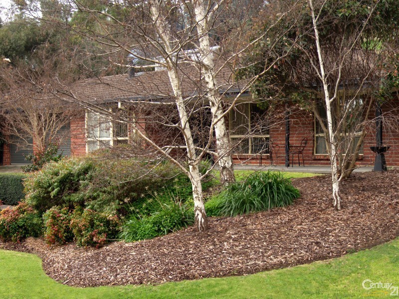 13 Alpine Road, Happy Valley SA 5159