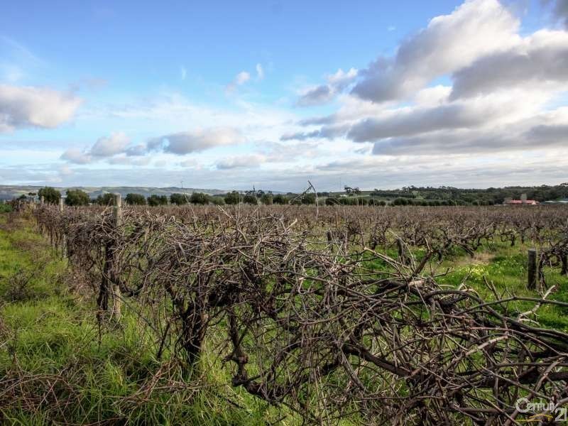 3 Vales Court, Mclaren Vale SA 5171