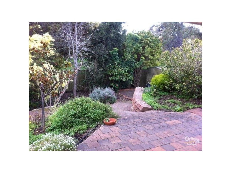 13 St Andrews Way, Morphett Vale SA 5162