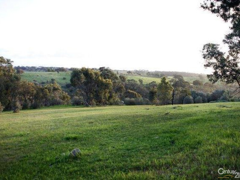 162 Coxs Hill Road, Onkaparinga Hills SA 5163