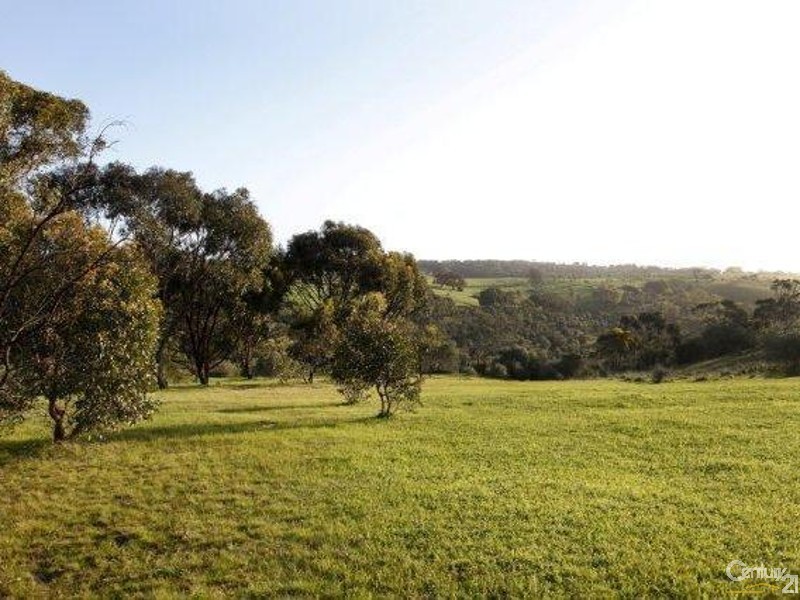 162 Coxs Hill Road, Onkaparinga Hills SA 5163