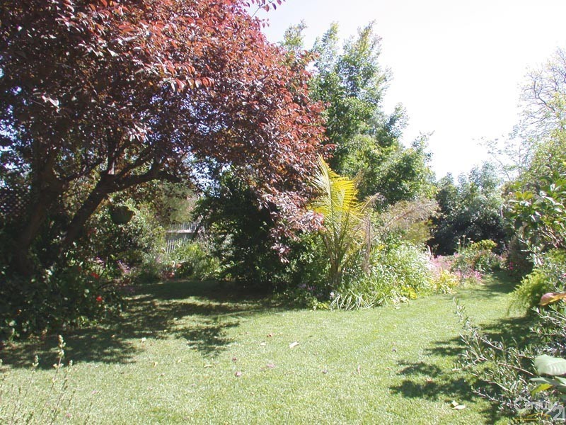 58 George Street, Clarence Park SA 5034