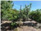 21 Buenavista Crescent, Hackham West SA 5163