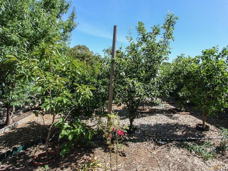 21 Buenavista Crescent, Hackham West SA 5163