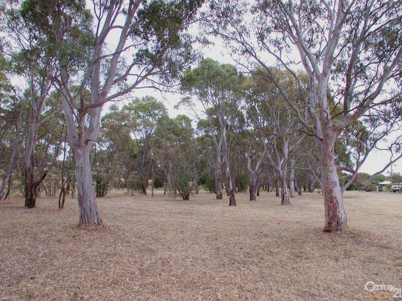 39 Kathleen Street, Morphett Vale SA 5162