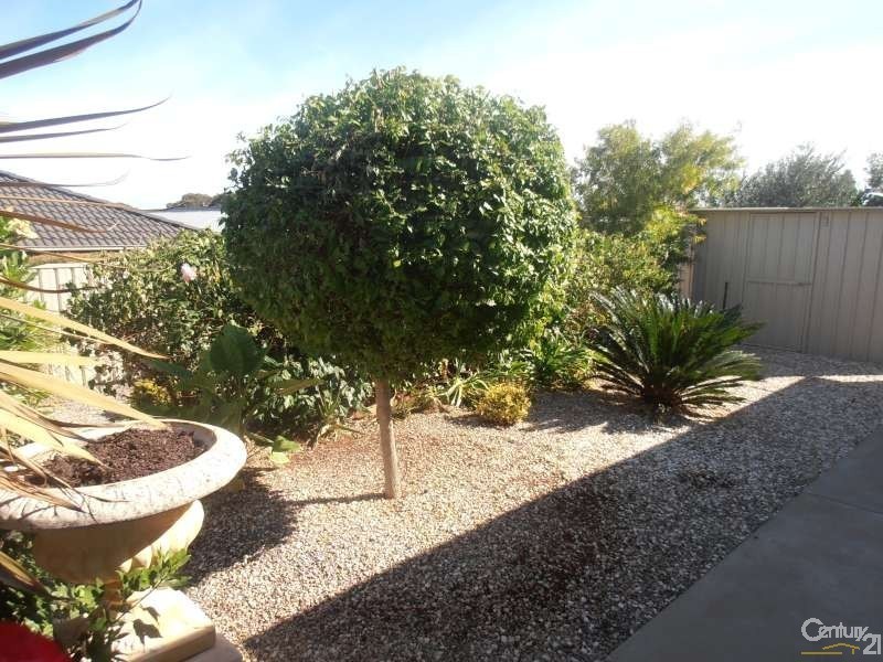 8 Hartland Avenue, Christie Downs SA 5164