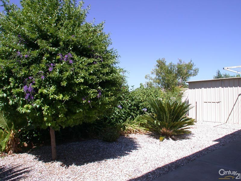 8 Hartland Avenue, Christie Downs SA 5164