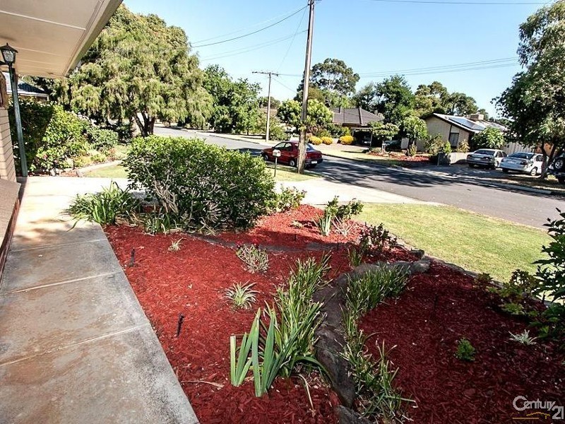 16 Frances Street, Morphett Vale SA 5162