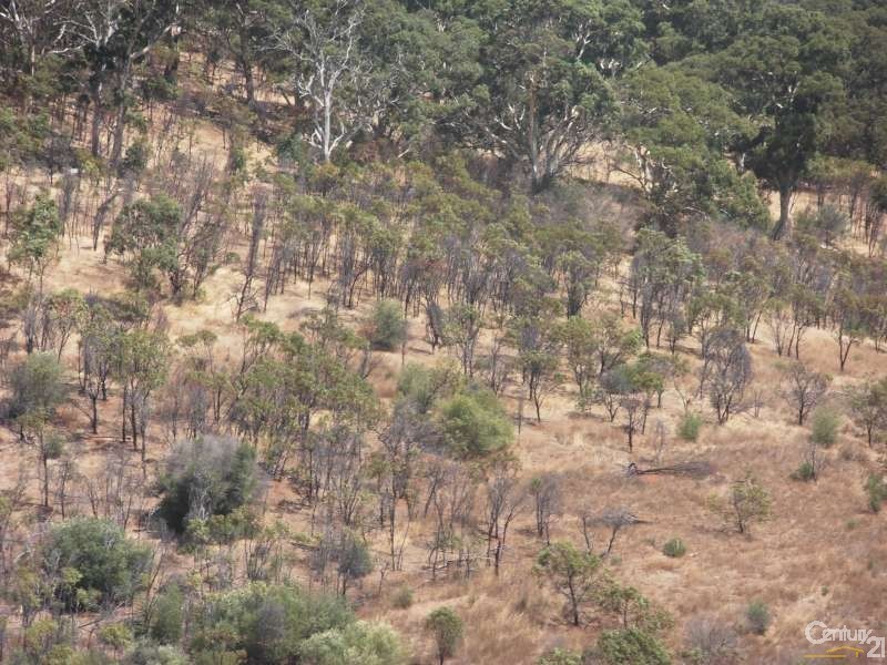 Lot 7  35 Charlson Rise, Happy Valley SA 5159