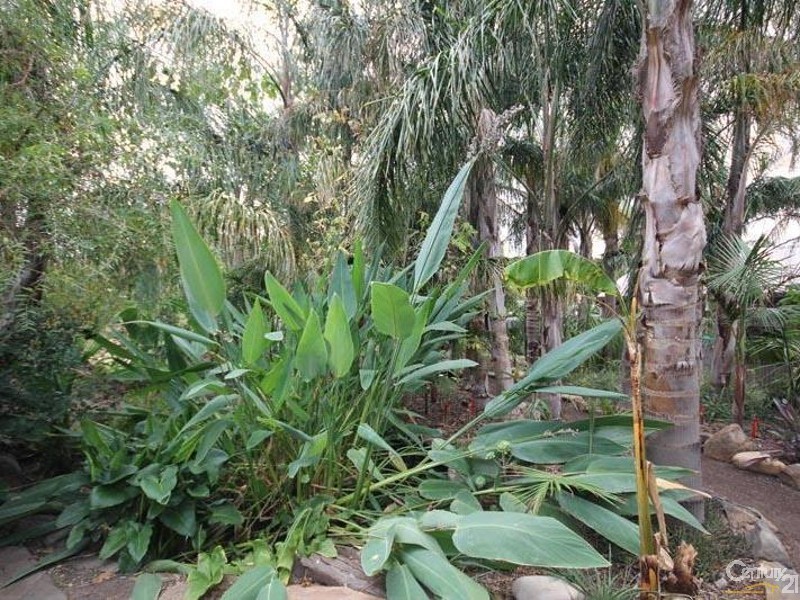 100 Main Road, Mclaren Vale SA 5171