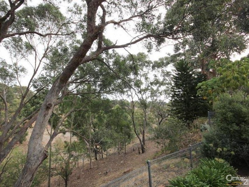 15 Broadmeadow Drive, Flagstaff Hill SA 5159