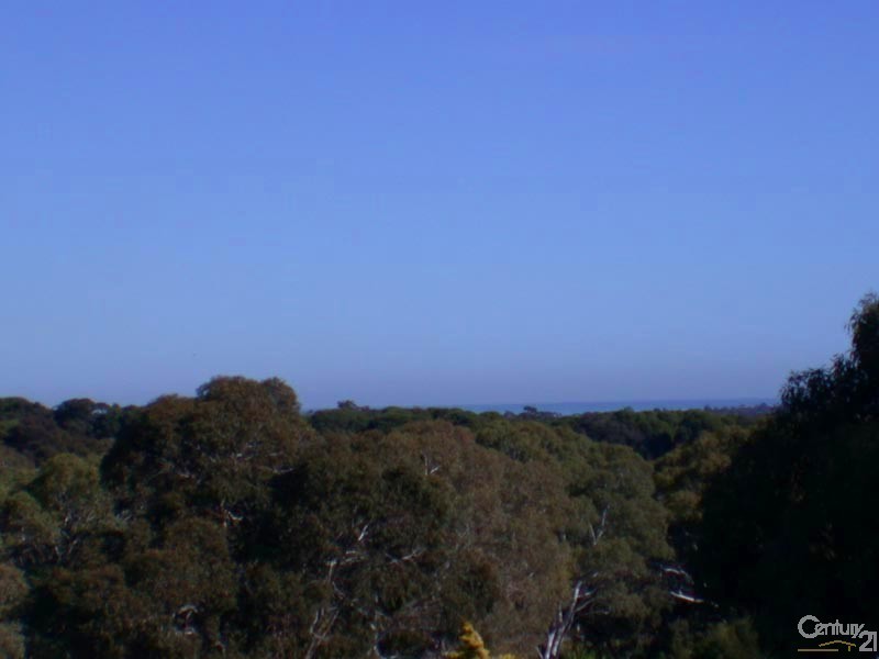 59 Fraser Avenue, Happy Valley SA 5159