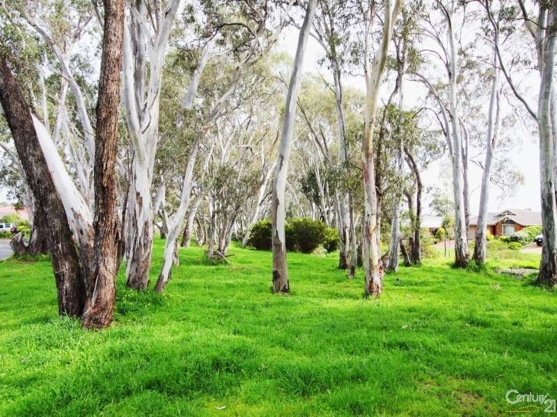 4 Riddoch Crescent, Woodcroft SA 5162