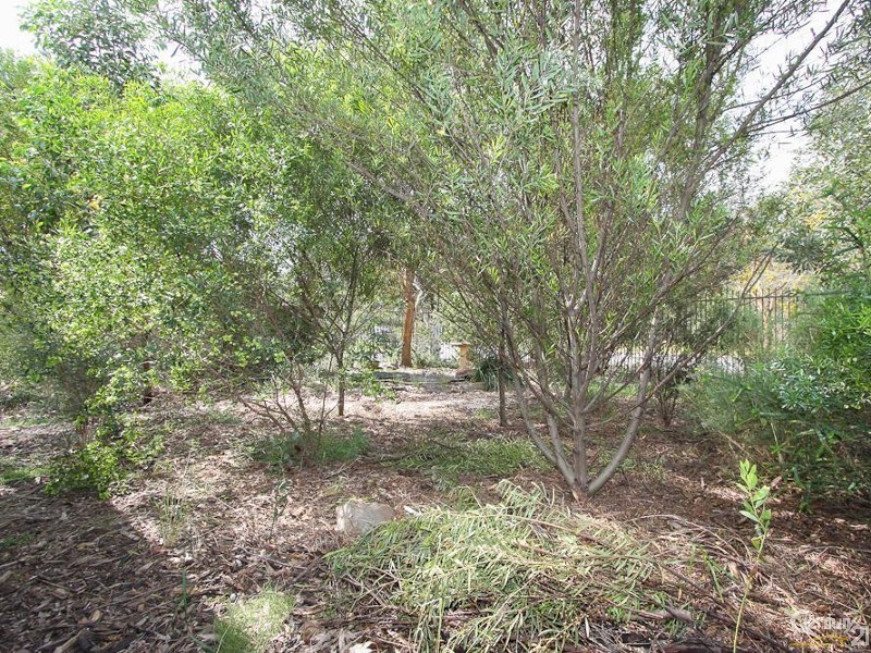 5 Albert Tce, Morphett Vale SA 5162