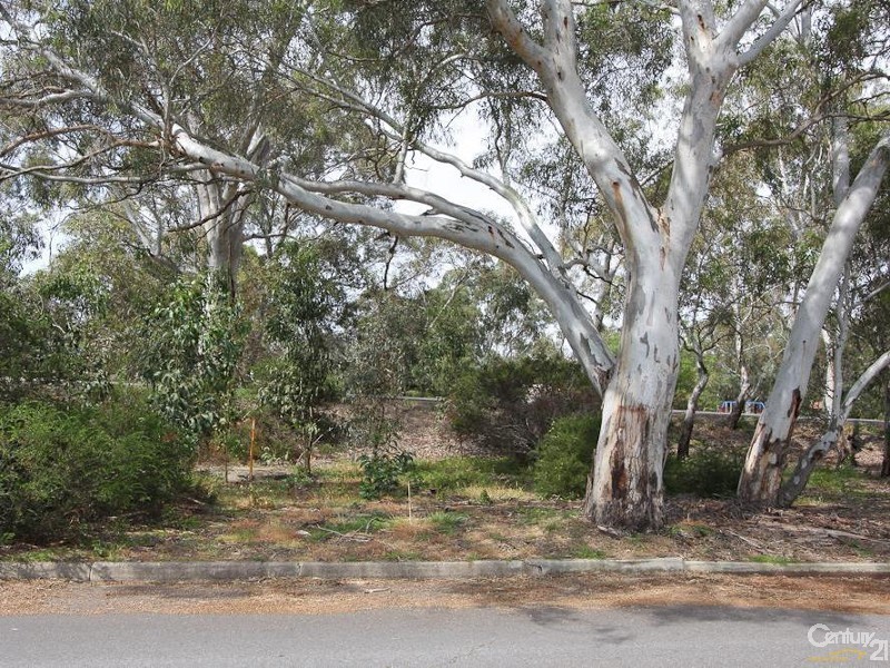 5 Albert Tce, Morphett Vale SA 5162