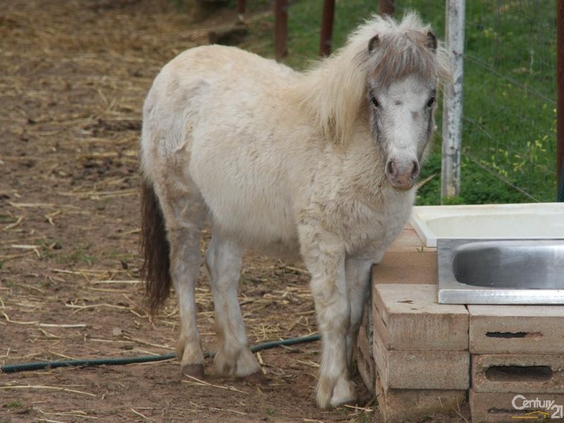 600-608 States Road, Onkaparinga Hills SA 5163