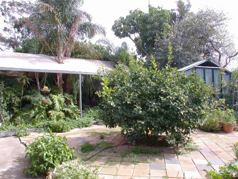 11 Palomino Place, Hackham SA 5163