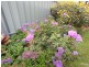 2-16 Helmsman Terrace, Seaford SA 5169
