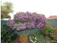 2-16 Helmsman Terrace, Seaford SA 5169
