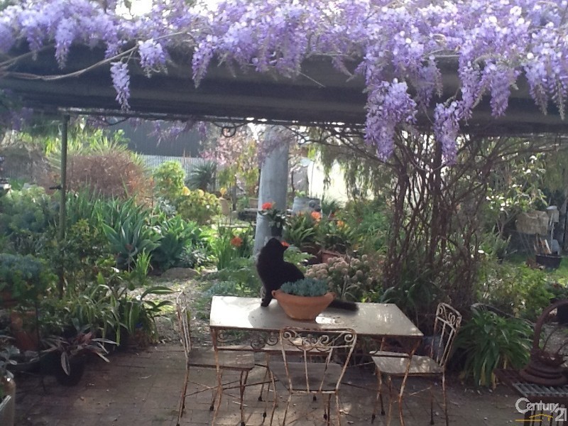 37 Blacker Road, Aldinga Beach SA 5173