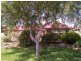3 Cambourne Crescent, Seaford SA 5169