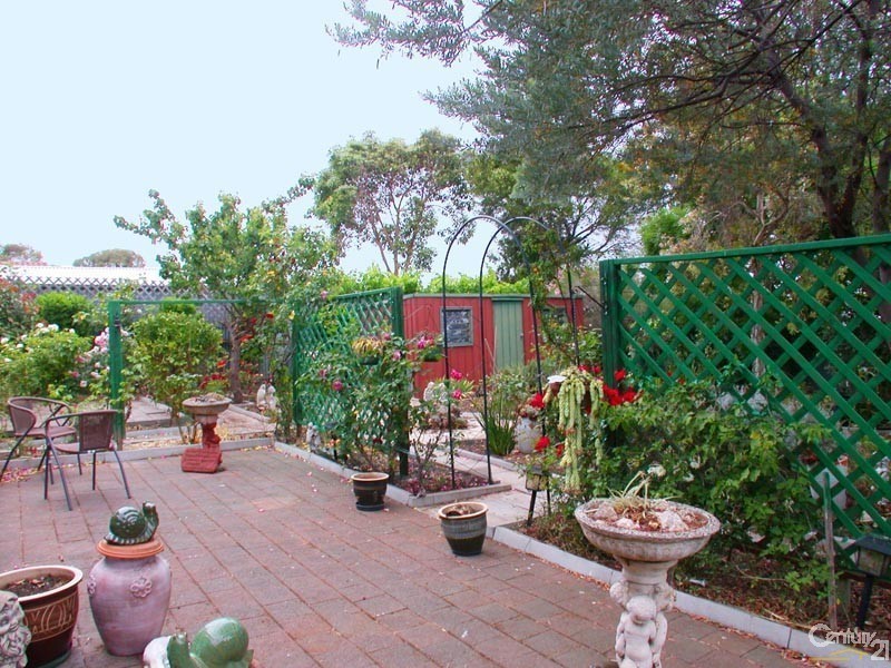 5 Haseldene Drive, Christie Downs SA 5164