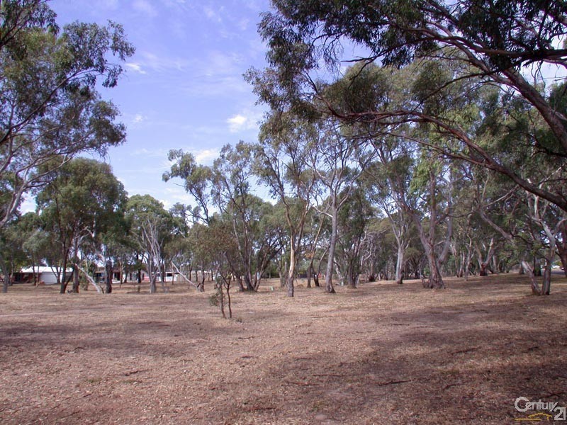 28 Naldera Crescent, Seacliff Park SA 5049