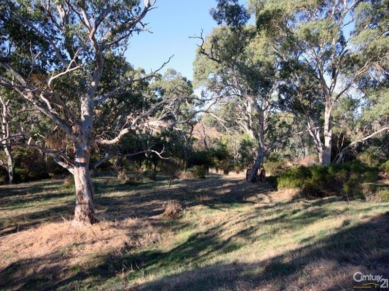 102 Kimbley Road, Onkaparinga Hills SA 5163