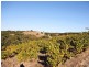 102 Kimbley Road, Onkaparinga Hills SA 5163