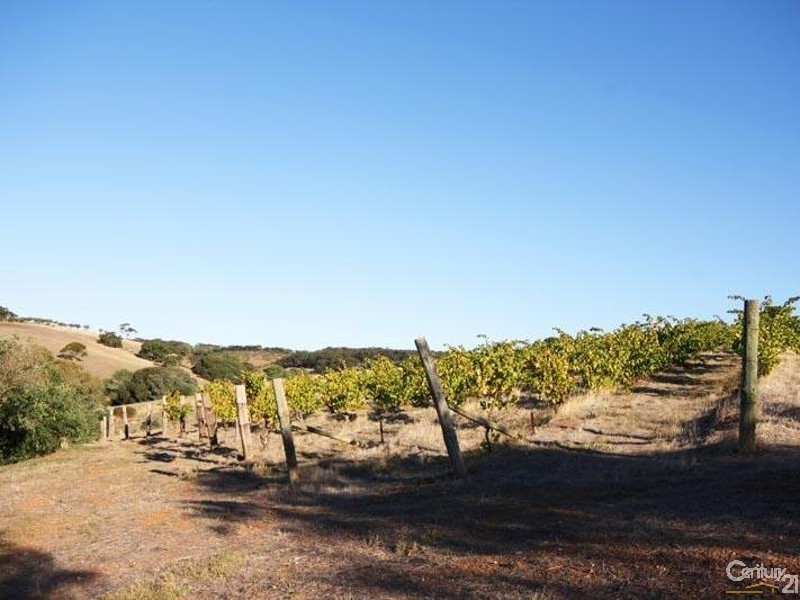 102 Kimbley Road, Onkaparinga Hills SA 5163