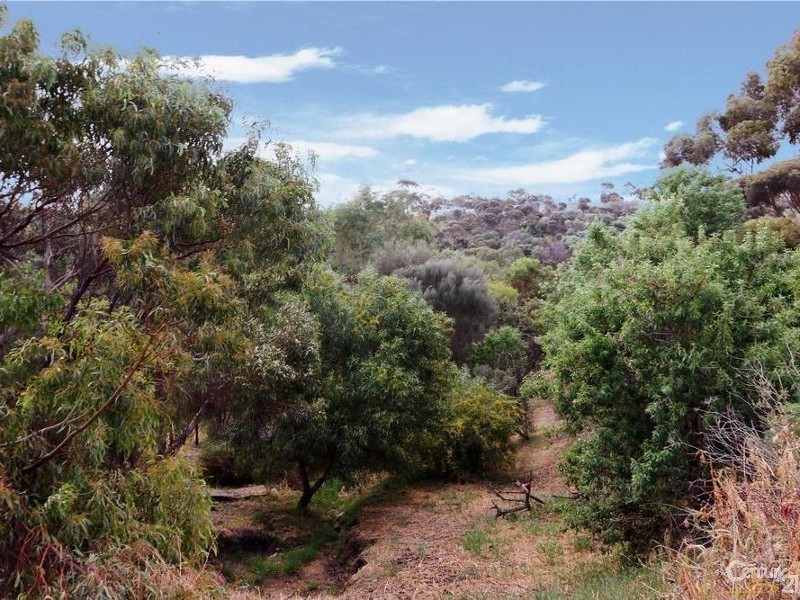 43 Haseldene Drive, Christie Downs SA 5164