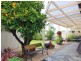 71 Finniss Street, Marion SA 5043