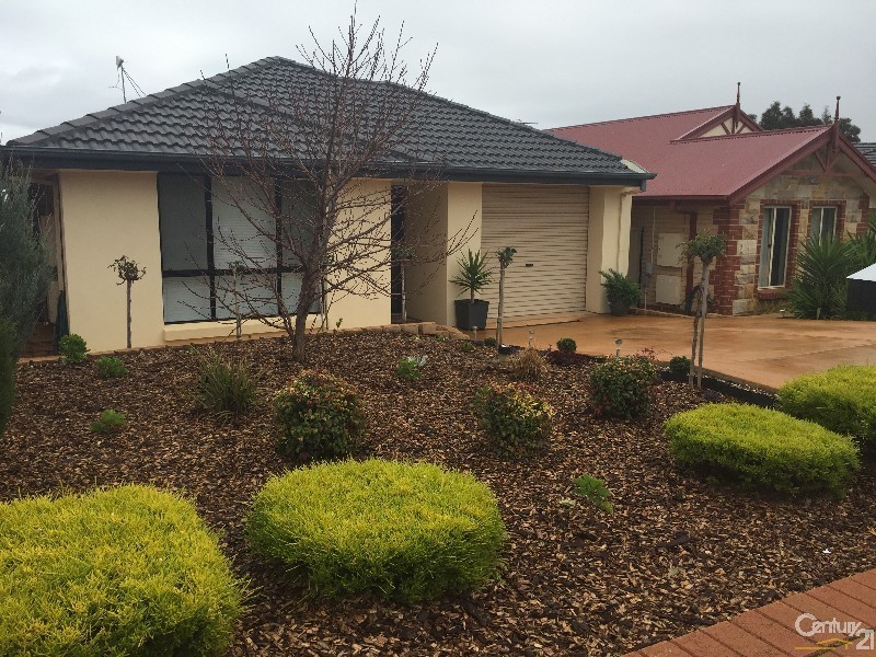12 Brighton Drive, Seaford Rise SA 5169