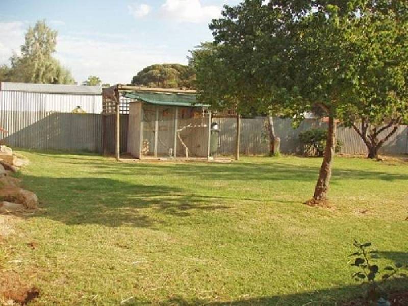 19 THORNTON STREET, Elizabeth East SA 5112