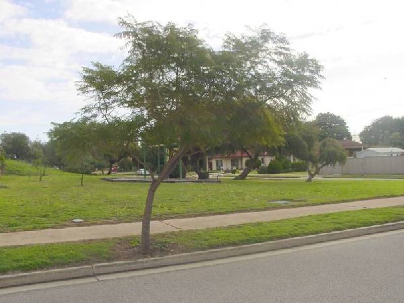 19 Paringa Street, Taperoo SA 5017