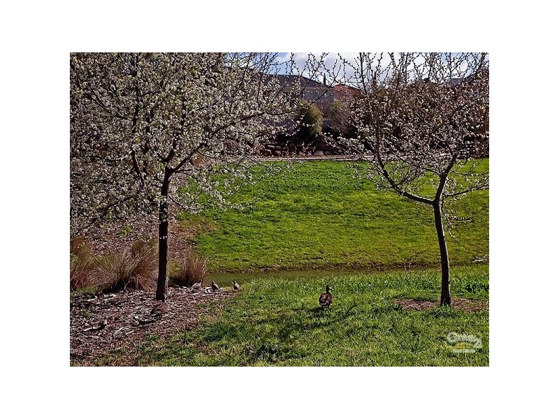 7 Yale Lane, Golden Grove SA 5125