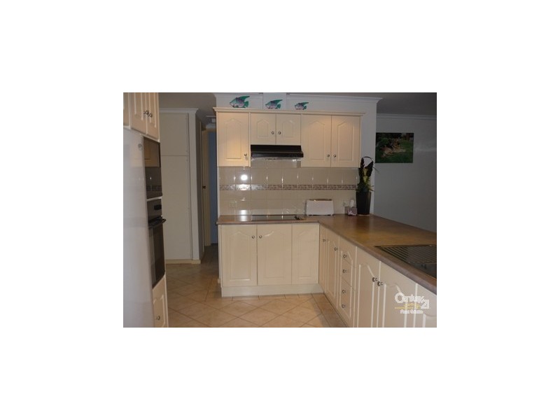 11 Elliott Avenue, Gulfview Heights SA 5096