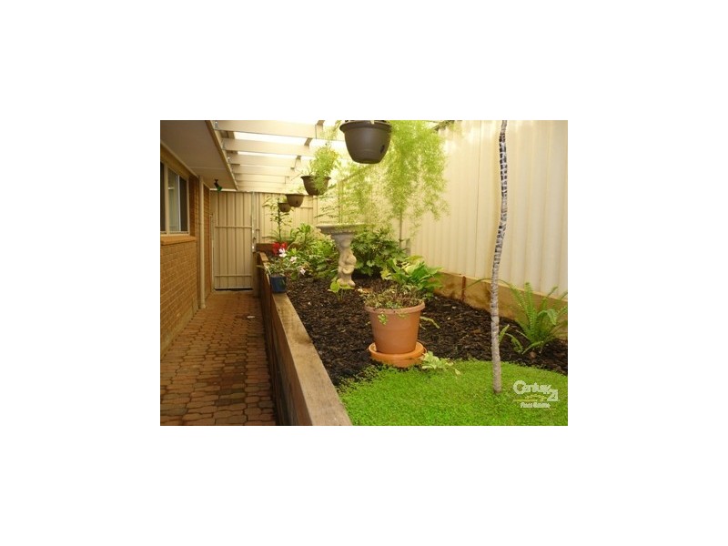 11 Elliott Avenue, Gulfview Heights SA 5096