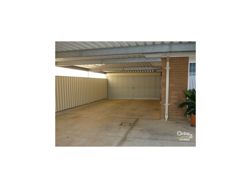 11 Elliott Avenue, Gulfview Heights SA 5096