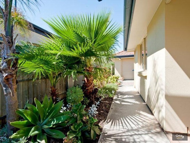 12 Anaconda Drive, North Haven SA 5018