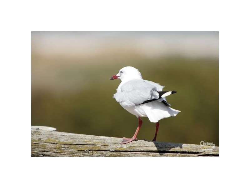 14 Hutley Road, North Haven SA 5018