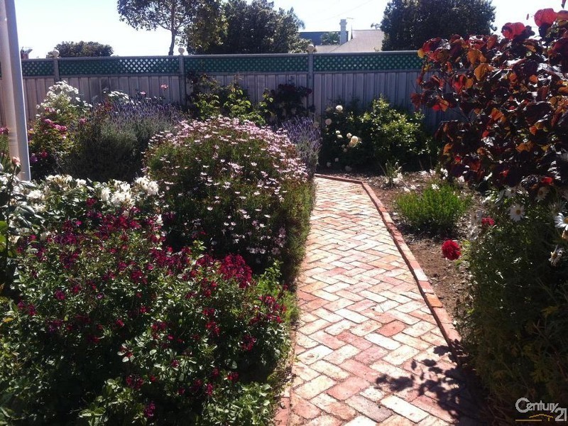 11  Shell Street, Rosewater SA 5013