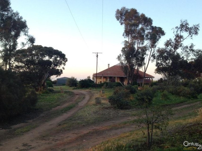 1812 Adelaide Road, Kulpara SA 5555