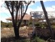 1812 Adelaide Road, Kulpara SA 5555