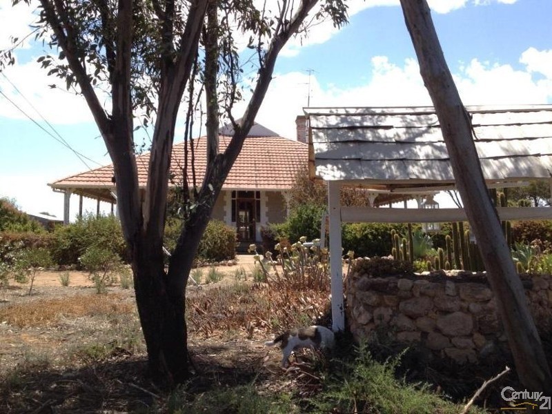 1812 Adelaide Road, Kulpara SA 5555