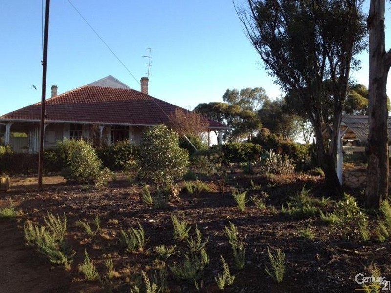 1812 Adelaide Road, Kulpara SA 5555